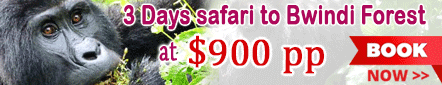 3 Days Safari to Bwindi Forest at $900 per person - Buhoma Town